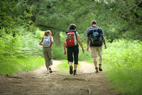 Bild zeigt eine Familie beim Wandern