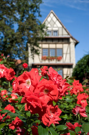 Bild zeigt eine Aufnahme des Augustinerhauses mit Blumen davor