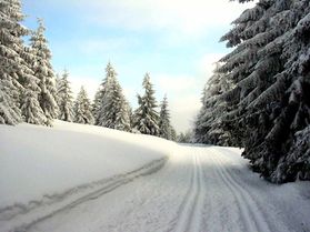 Bild zeigt den verschneiten Thüringer Wald